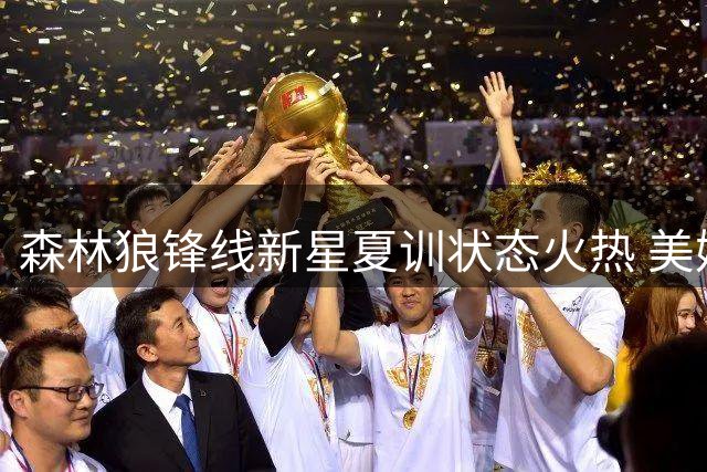 森林狼锋线新星夏训状态火热 美媒预测麦克丹尼尔斯下赛季迎数据井喷