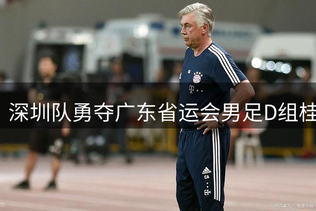 深圳队勇夺广东省运会男足D组桂冠