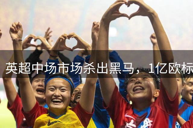 英超中场市场杀出黑马，1亿欧标王引红蓝狂抢